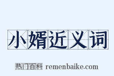 小婿近义词是什么意思的图片